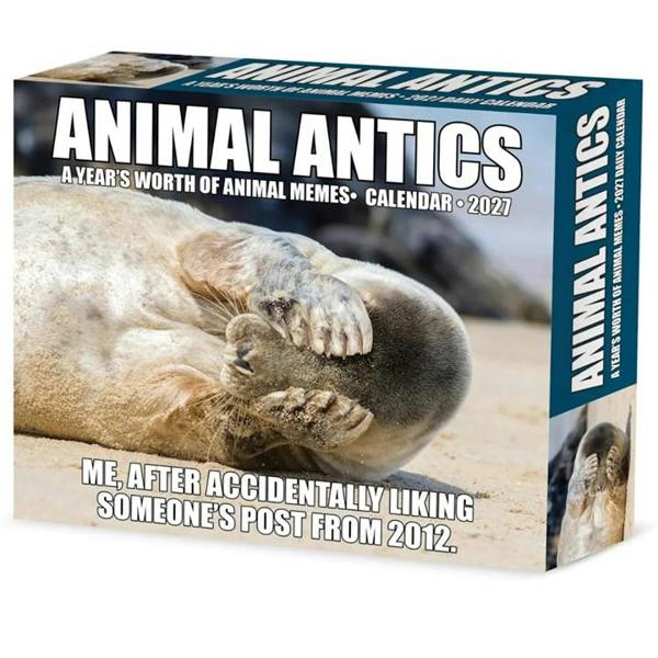Animal Antics Desk Calendar 2027, Desk Calendars, Day To View, Animals, Gift