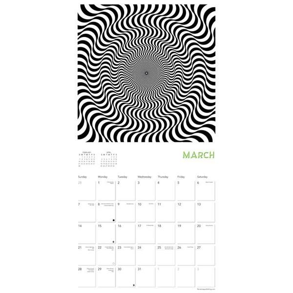 Optical Illusions Calendar 2027, Wall Calendars, Month To View, Art, Gift