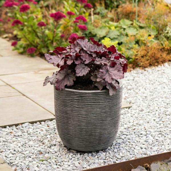  Extra Large Round Pewter Grey Flower Tree Planter For Home & Garden