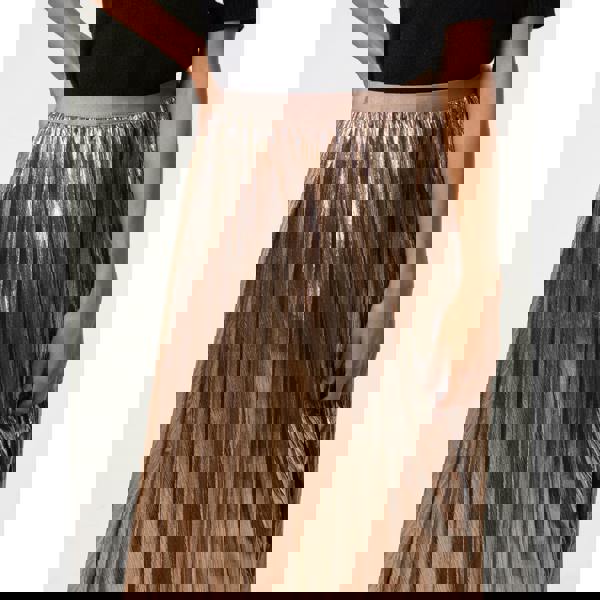 Blue Vanilla Metallic Pleated Tulle Skirt