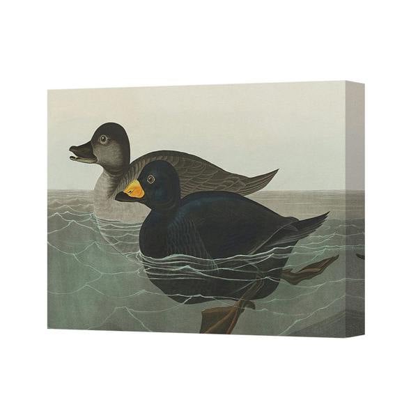Benjamin Tate Design Duck Canvas Wall Art Print Two Ducks On Water Birds Wall Decor