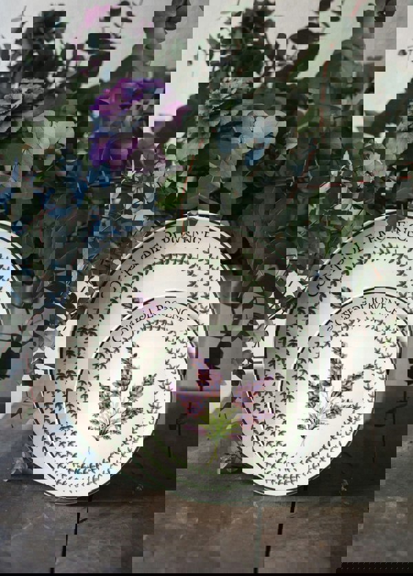 Rozi Provence Collection Dinner Plates, Set of 6