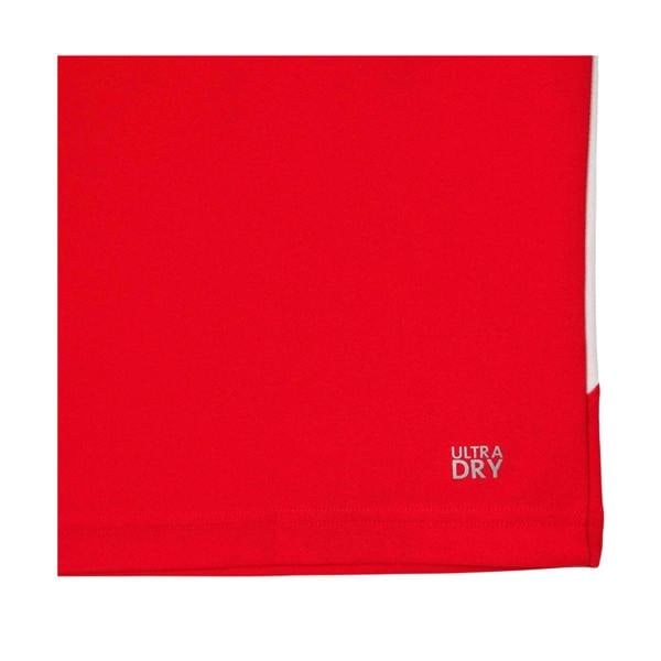 Lacoste Mens Tennis x Novak Djokovic Regular Polo Shirt - Red - 