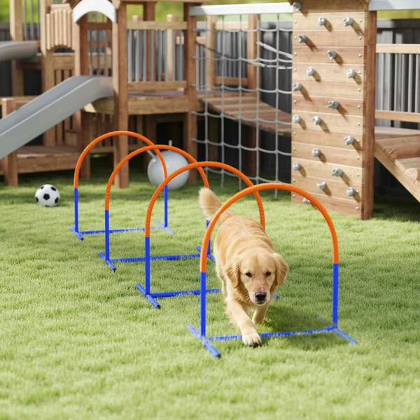 Pet Agility Set