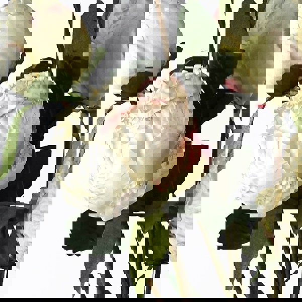 Leaf 55cm Cream Peony Artificial Flowers Spray - 4 Flowers 3 Buds