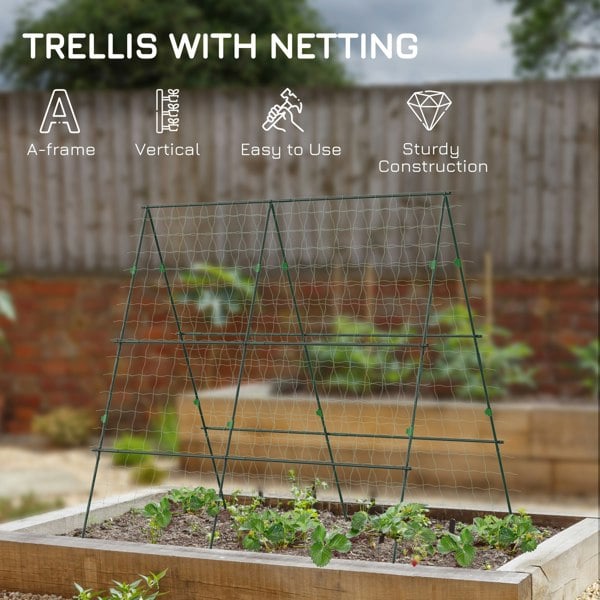 Tomato Cage
