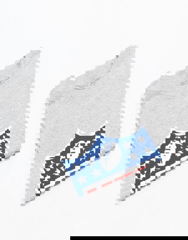 NFL Womens Grey Shield Logo Short Sleeved T-Shirt