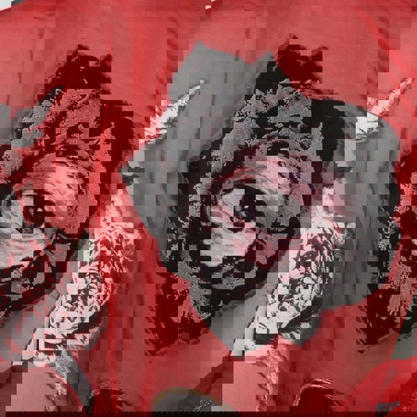 Alexander McQueen sheer chiffon silk blend scarf