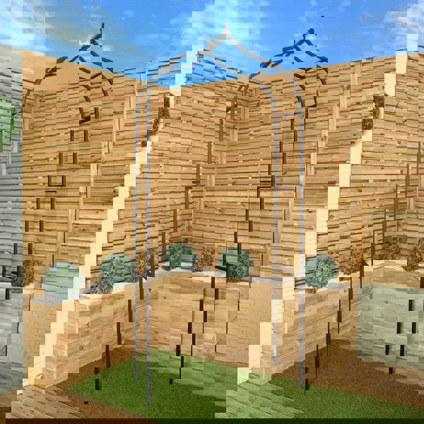 Samuel Alexander Tom Chambers Black Baroque 240cm x 110cm Metal Steel Garden Flower Rose Arch