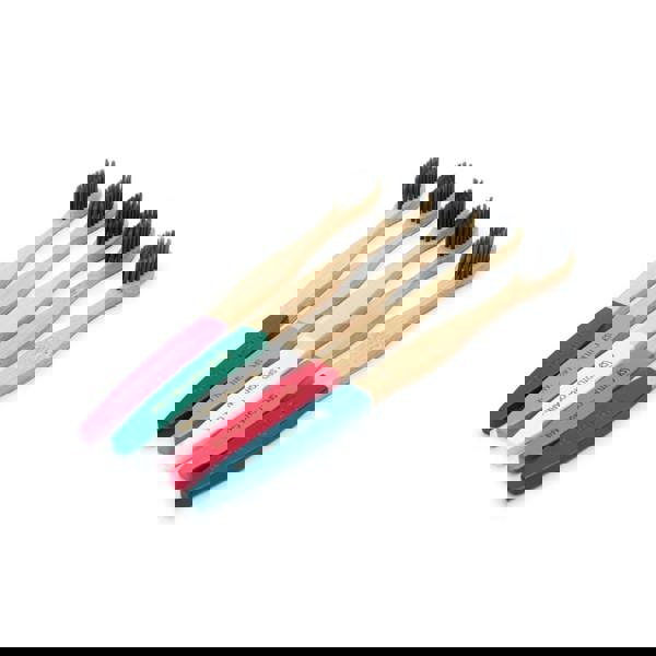 Spotlight Oral Care Bamboo Toothbrush