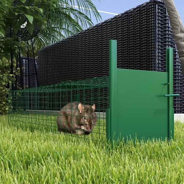 Animal Trap