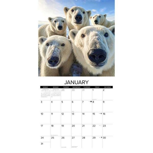 Animal Selfies Calendar 2027, Wall Calendars, Month To View, Animals, Gift