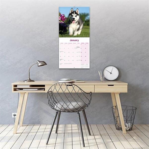 Siberian Husky Calendar 2027, Wall Calendars, Month To View, Dogs, Gift
