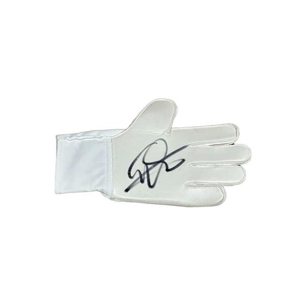 Unbranded Edwin Van Der Sar signed Adidas goalkeeper glove — Goalkeeper glove framing
