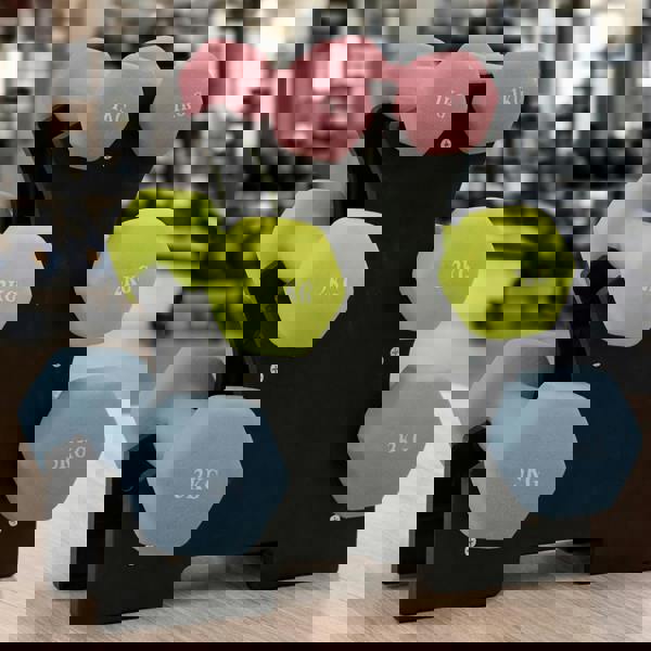 Gr8 Home 12kg Hex Dumbbell Set with Storage Stand