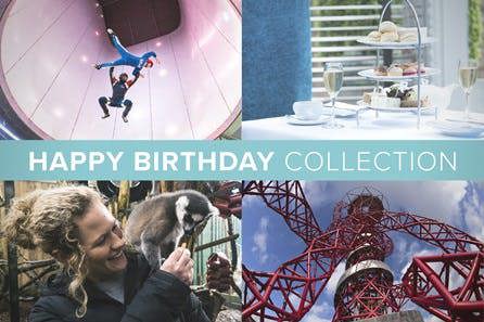 Happy Birthday Collection