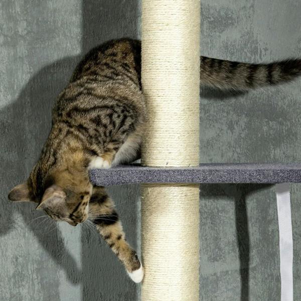 Tabby cat lounging on a dark grey carpeted platform atop a cream sisal post