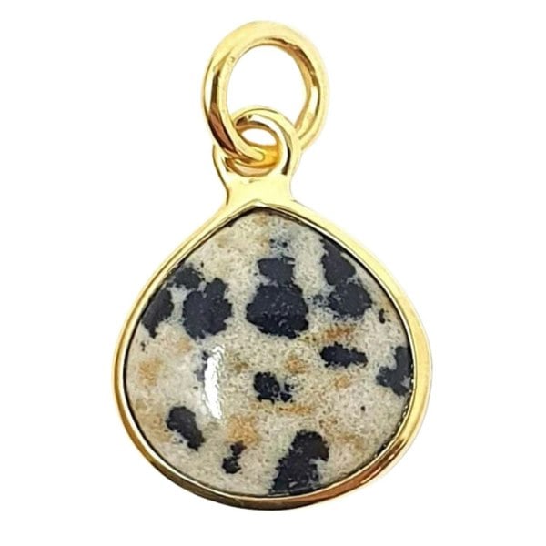 18ct Gold Vermeil Round Dalmatian Jasper Bezel Pendant