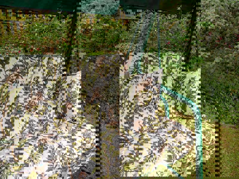 Pendulum 3 Seater Garden Hammock Swing with Cushions - Convertible Bed Tropical Green 190(L) x 160 (W) The Garden Furniture Shop