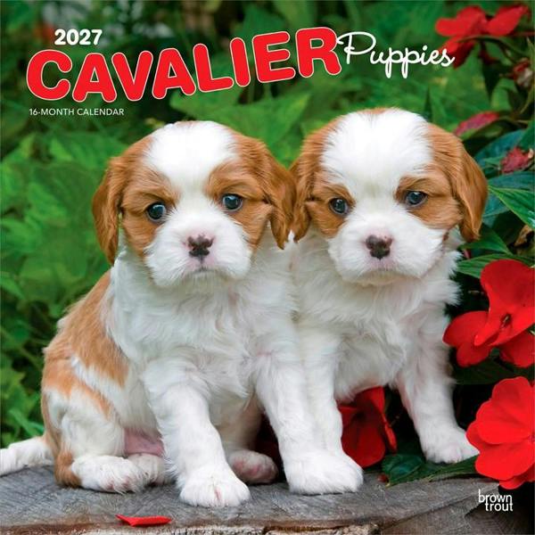 Cavalier King Charles Spaniel Puppies Calendar 2027, Wall Calendars, Month To View, Dogs, Gift
