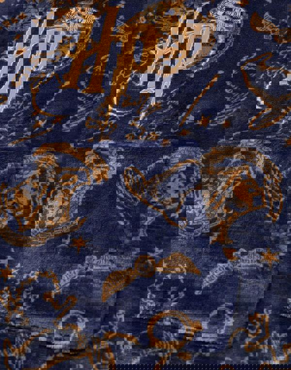 Harry Potter Girls Blue Embroided Logo Blanket Hoodie (One Size)