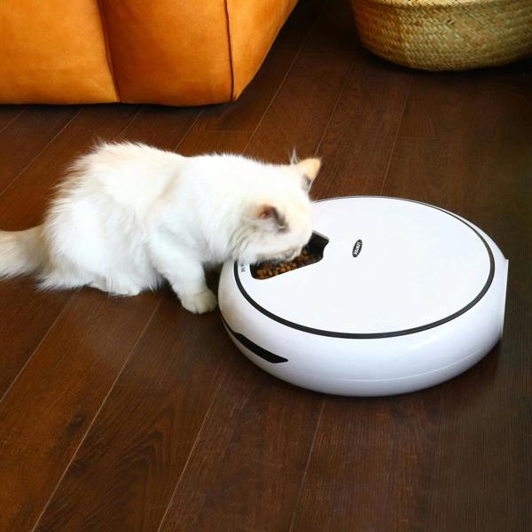 Lentek 5 Meal Automatic Pet Feeder Timed Food Dispenser with Voice Recorder for Cats & Dogs