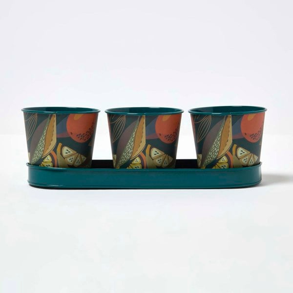 HOMESCAPES Set of 3 Herb Pots with Tray, Citrus Print