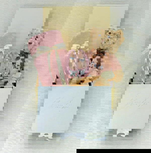 THE BABY GIFTING COMPANY X ARUNA SETH PINK GIFT SET