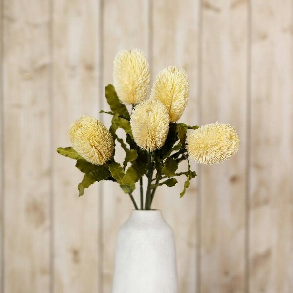 Wyld Haus Set of 3 Artificial Flowers Large Cream Banksia Serrata Stems