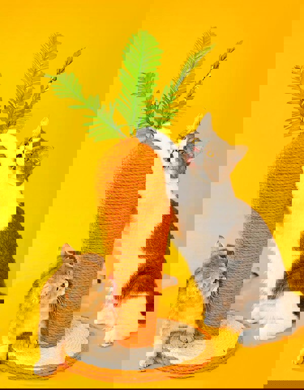 Calo's Carrot, Cat Toy, Hemp Rope, Cat Scratcher-Weilai concept-Weilai Concept