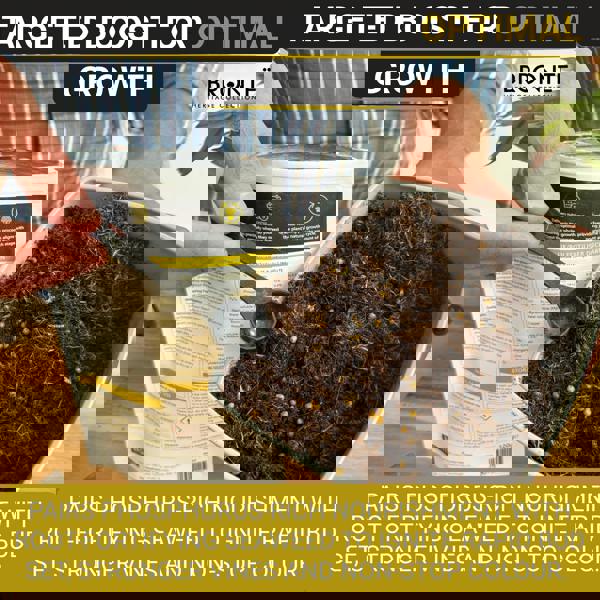 Bronte Heritage Clematis Fertiliser 120g – Controlled-release granules for climbers like honeysuckle & ivy. Boosts growth & flowering. Easy-apply