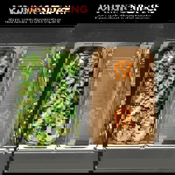 Electric Buffet Server