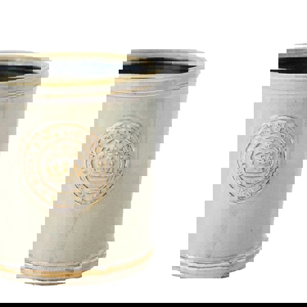 #color_ivory