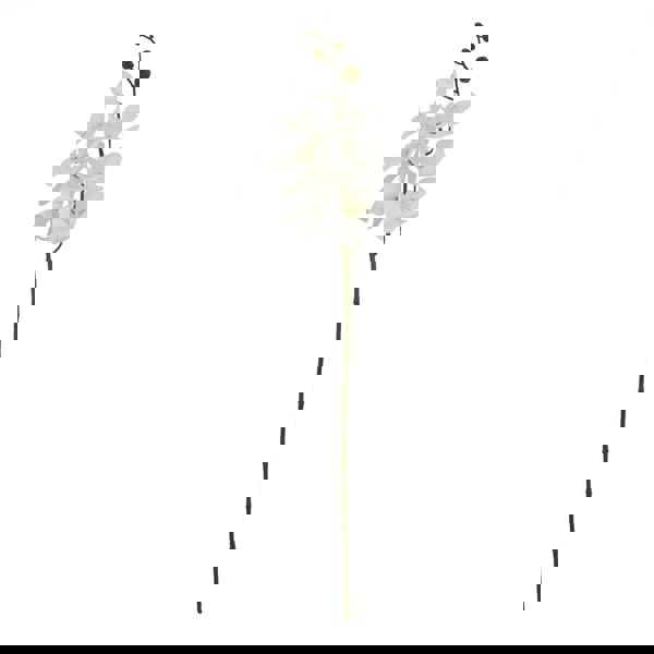 Hill Interiors Butterfly Orchid Artificial Flower - White - 