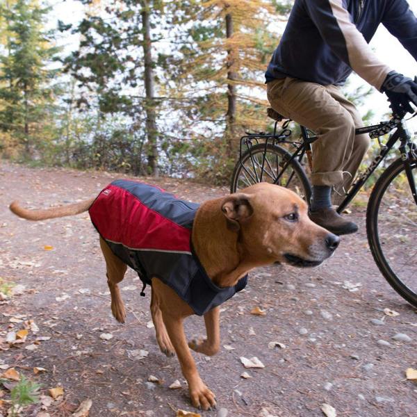 EzyDog Element Jacket in Red