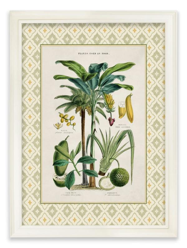 Exceptional Art c.1877 Plants Used as Food and Clothing with Tile Mount - Cream Hurstwood Frame