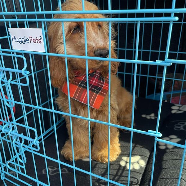 HugglePets Black Dog Cage with Metal Tray