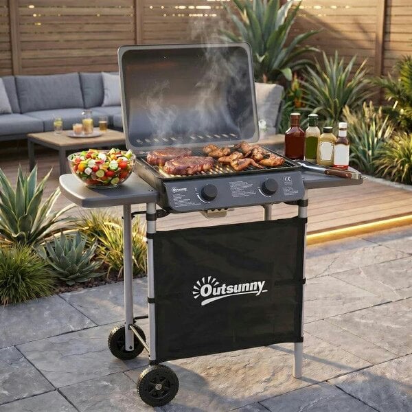 Bobobiy 2 x 2.8kW Burner Gas BBQ - Grey - Grey