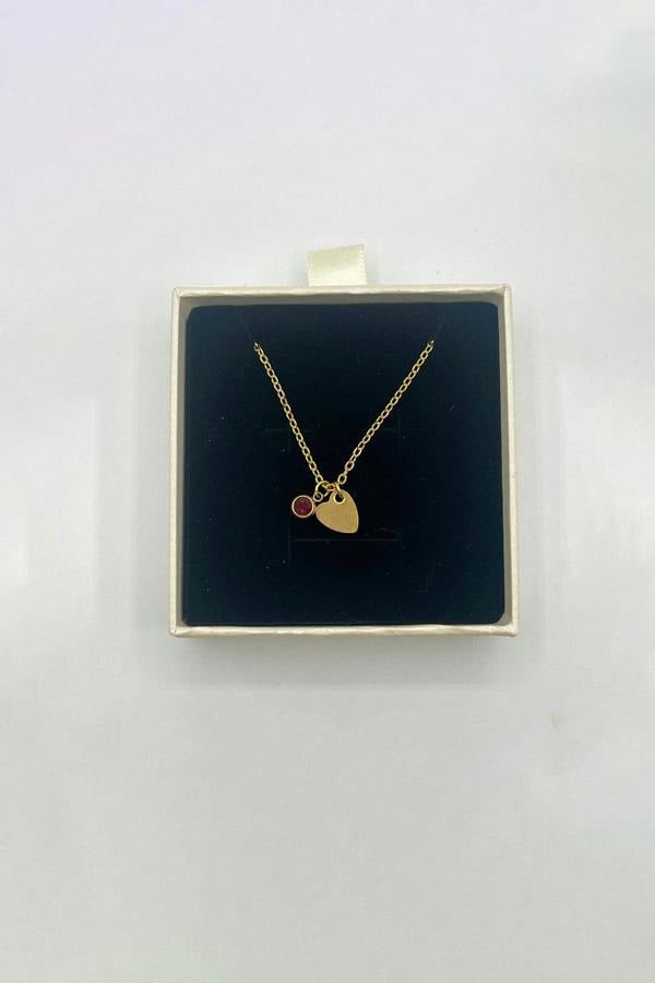 SVNX Mini Heart & Janurary Birthstone Necklace in Gold - Gift Boxed