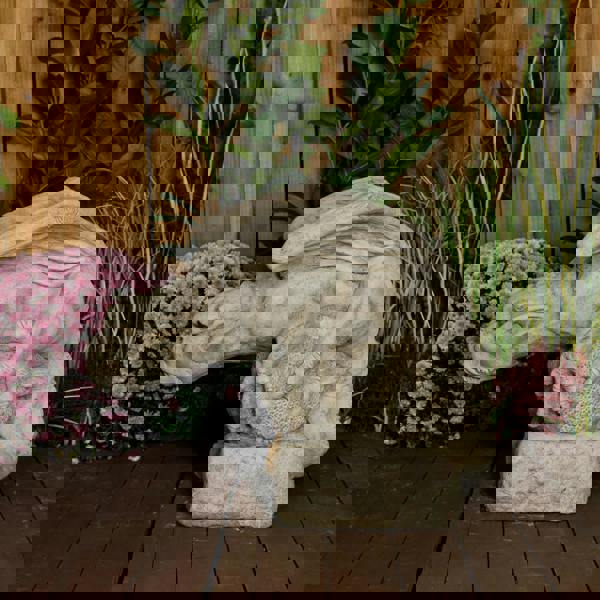 Imposing Chained Winged Gargoyle Statue