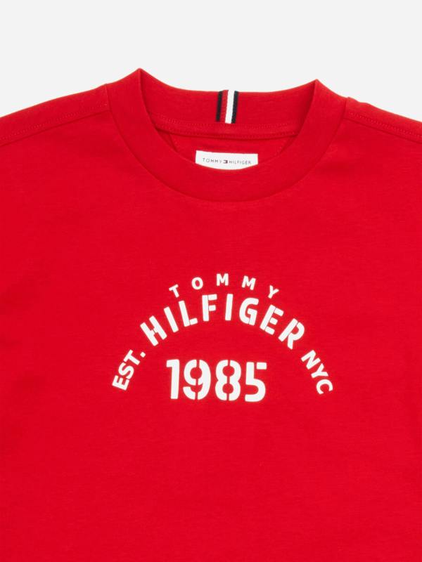 Tommy Hilfiger Boys T-Shirt and Shorts Set in Red