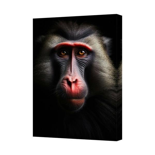 Benjamin Tate Design Mandrill Portrait Canvas Wall Art Animal Print Home Decor