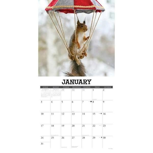 Gettin' Squirrelly Calendar 2027, Wall Calendars, Month To View, Humour, Gift