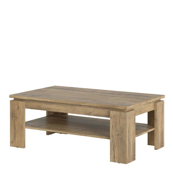 Wyld Haus Juniper Large Coffee Table Chestnut and Matera Grey Wood