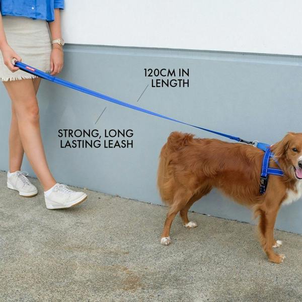 EzyDog Classic Dog Lead in Grey