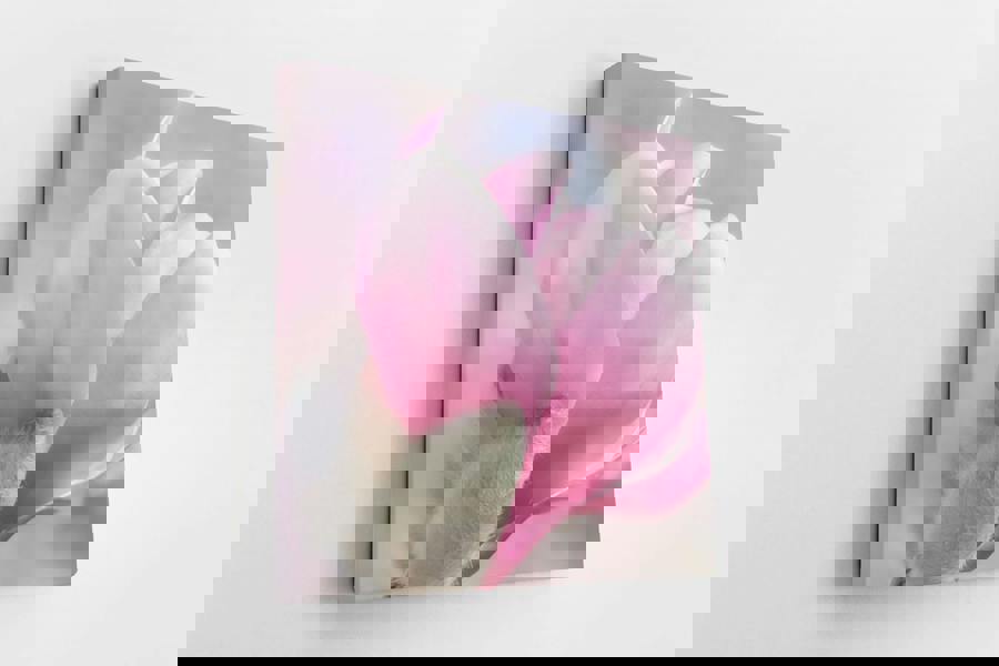 pink flower artwork on canvas