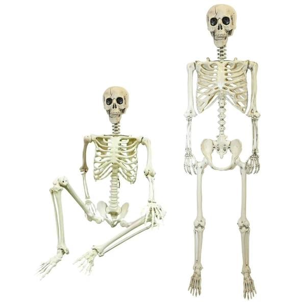 Halloween Life Size Poseable Skeleton Prop 165cm - Realistic Human Skeleton Decoration image 1