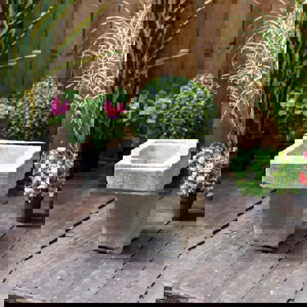 Stone Cast Plain Low Square Birdbath 25 cm Tall