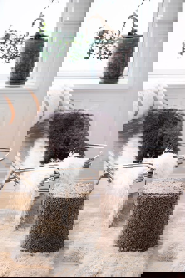 Icelandic Sheepskin | Long Wool | 120+ cm