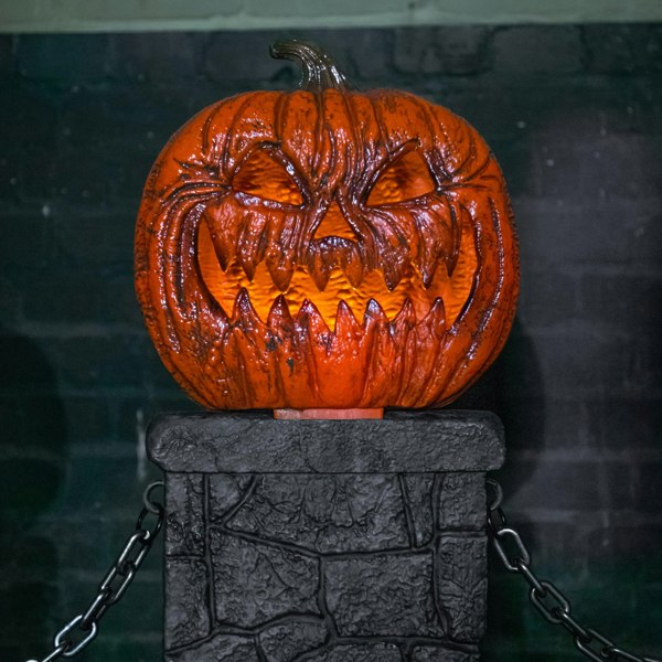 Samuel Alexander 97cm x 1.2m Battery Powered Light up Halloween Pumpkin Fence with LEDs